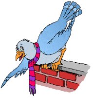 PIGEON3.GIF