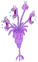 ANEMONE3.GIF