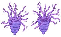 ANEMONE1.GIF