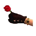 FASHIN12.GIF