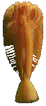 SEAPEN.GIF