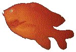 ORANGE.GIF