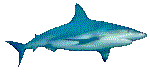 FISH10.GIF