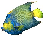 FISH07.GIF