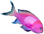 FISH01.GIF