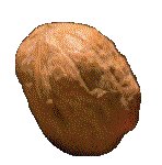 WALNUT.GIF