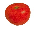 TOMATO.GIF