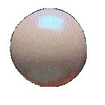 SCANDY8.GIF