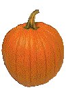PUMPKIN.GIF