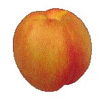 PEACH2.GIF