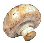 MUSHRM.GIF