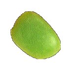 JELLYB1.GIF