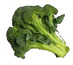 BROCOLI.GIF