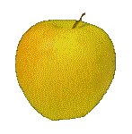 APPLE2.GIF