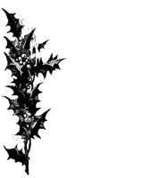 HOLLY4.GIF