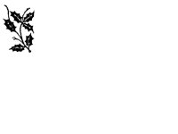 HOLLY2.GIF