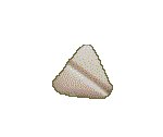 PILL04.GIF
