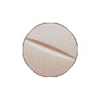PILL02.GIF