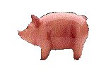 PIG.GIF