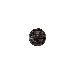 COIN8.GIF