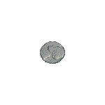 COIN7.GIF