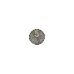COIN.GIF