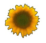 SUNFLR08.GIF