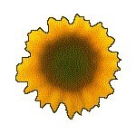 SUNFLR07.GIF