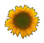 SUNFLR06.GIF