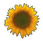 SUNFLR05.GIF