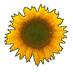 SUNFLR02.GIF