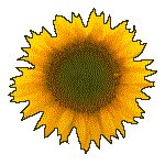 SUNFLR01.GIF