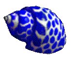 SHELL14.GIF