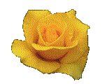 ROSE04.GIF