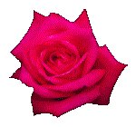 ROSE03.GIF
