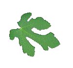 LEAF01.GIF