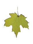 FLEAF9.GIF