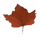 FLEAF8.GIF
