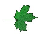 FLEAF7.GIF
