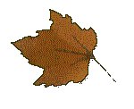 FLEAF6.GIF