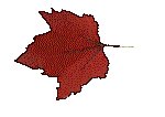 FLEAF4.GIF
