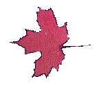 FLEAF12.GIF