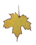 FLEAF11.GIF