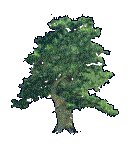 DECTRE09.GIF