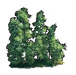 DECTRE06.GIF