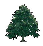 DECTRE05.GIF