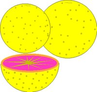 GRAPFRT1.WMF