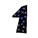 NUM1A.GIF