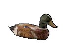 DECOY.GIF