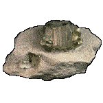 STONE2.GIF